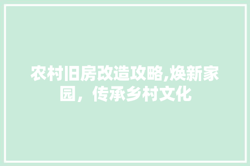农村旧房改造攻略,焕新家园，传承乡村文化