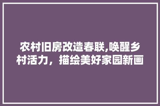 农村旧房改造春联,唤醒乡村活力，描绘美好家园新画卷 装修攻略