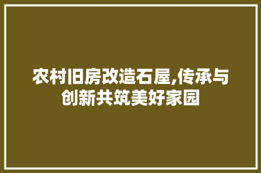 农村旧房改造石屋,传承与创新共筑美好家园