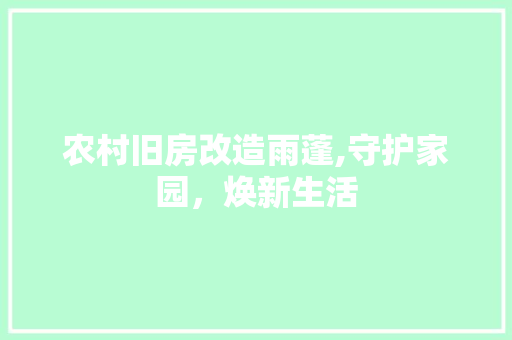 农村旧房改造雨蓬,守护家园，焕新生活