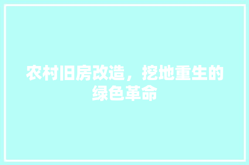 农村旧房改造，挖地重生的绿色革命 庭院装修