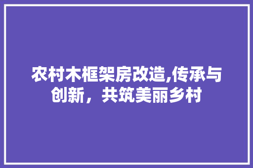 农村木框架房改造,传承与创新，共筑美丽乡村