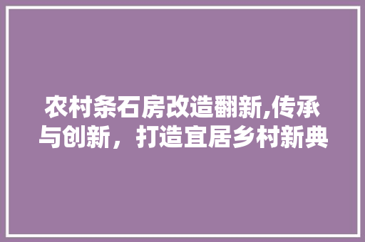 农村条石房改造翻新,传承与创新，打造宜居乡村新典范