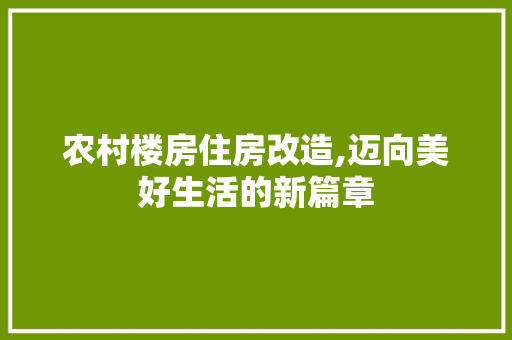 农村楼房住房改造,迈向美好生活的新篇章 地面装修