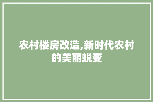农村楼房改造,新时代农村的美丽蜕变 庭院装修