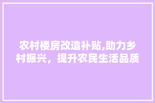 农村楼房改造补贴,助力乡村振兴，提升农民生活品质 墙面装饰