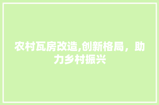 农村瓦房改造,创新格局，助力乡村振兴