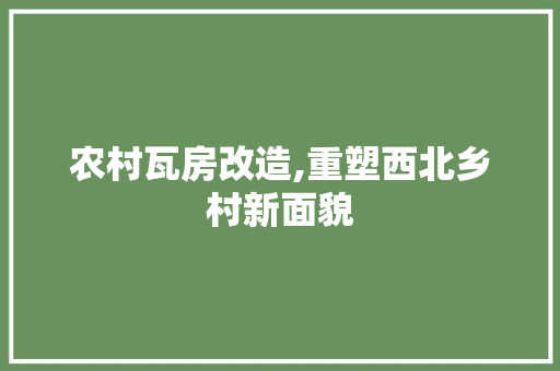农村瓦房改造,重塑西北乡村新面貌
