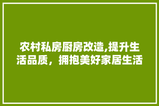 农村私房厨房改造,提升生活品质，拥抱美好家居生活 建筑设计