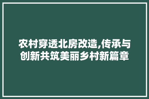 农村穿透北房改造,传承与创新共筑美丽乡村新篇章 隔断设计