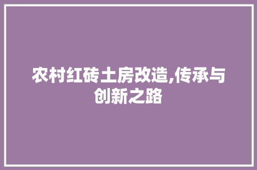 农村红砖土房改造,传承与创新之路