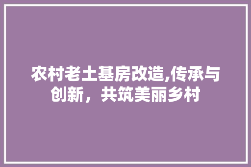 农村老土基房改造,传承与创新，共筑美丽乡村 建筑设计
