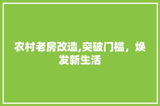 农村老房改造,突破门槛，焕发新生活