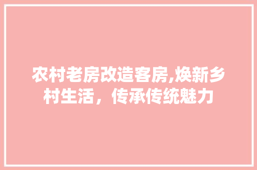 农村老房改造客房,焕新乡村生活，传承传统魅力 隔断设计