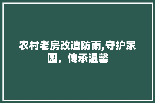 农村老房改造防雨,守护家园，传承温馨 建筑设计