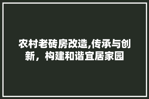 农村老砖房改造,传承与创新，构建和谐宜居家园 庭院装修