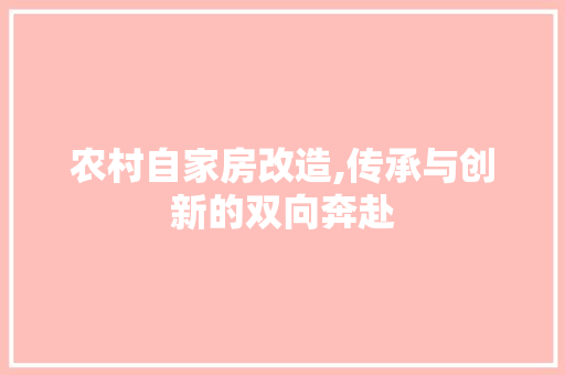 农村自家房改造,传承与创新的双向奔赴 装修攻略