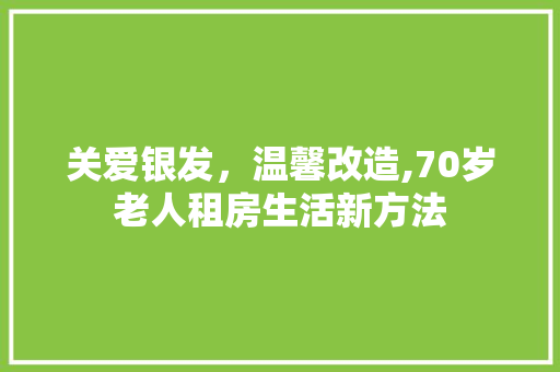 关爱银发，温馨改造,70岁老人租房生活新方法