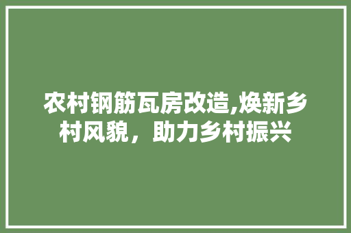农村钢筋瓦房改造,焕新乡村风貌，助力乡村振兴