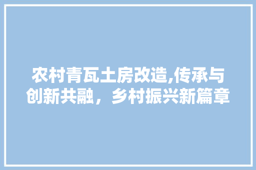 农村青瓦土房改造,传承与创新共融，乡村振兴新篇章