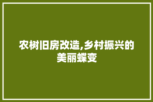 农树旧房改造,乡村振兴的美丽蝶变