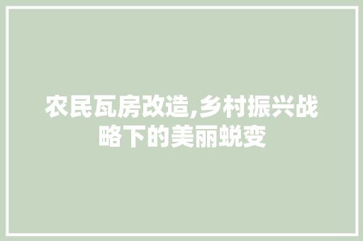 农民瓦房改造,乡村振兴战略下的美丽蜕变 庭院装修