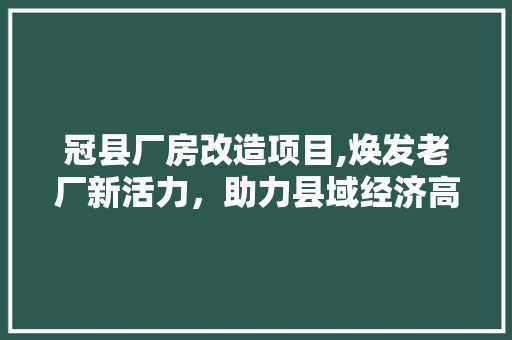 冠县厂房改造项目,焕发老厂新活力，助力县域经济高质量发展