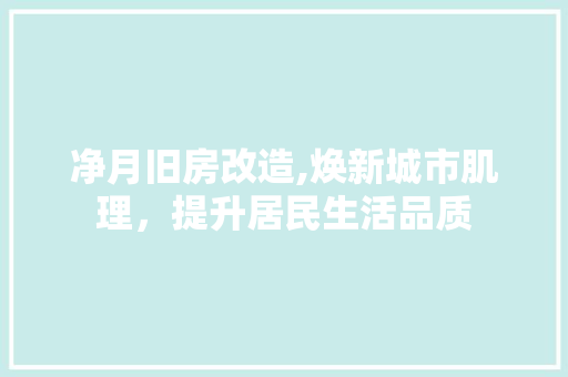 净月旧房改造,焕新城市肌理，提升居民生活品质 庭院装修
