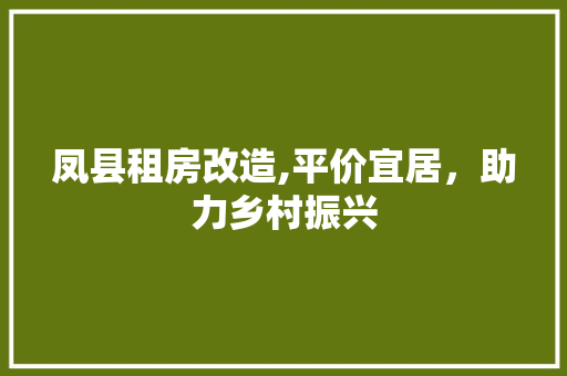 凤县租房改造,平价宜居，助力乡村振兴 景观设计