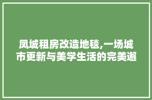 凤城租房改造地毯,一场城市更新与美学生活的完美邂逅