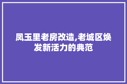 凤玉里老房改造,老城区焕发新活力的典范