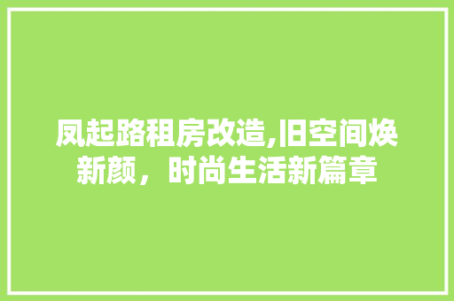 凤起路租房改造,旧空间焕新颜，时尚生活新篇章 建筑设计