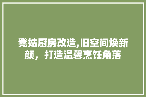 凳姑厨房改造,旧空间焕新颜，打造温馨烹饪角落 庭院装修