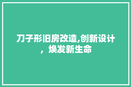 刀子形旧房改造,创新设计，焕发新生命