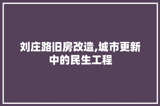 刘庄路旧房改造,城市更新中的民生工程 地面装修