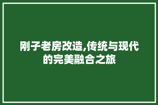 刚子老房改造,传统与现代的完美融合之旅 建筑设计