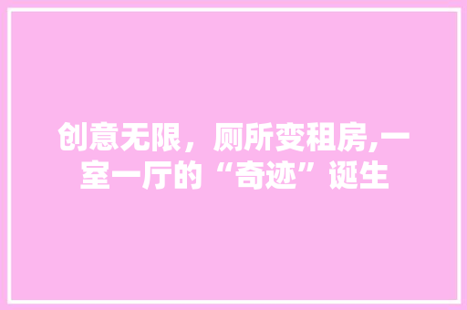创意无限，厕所变租房,一室一厅的“奇迹”诞生 地面装修
