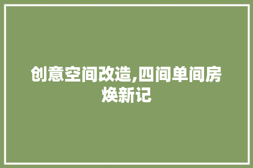 创意空间改造,四间单间房焕新记