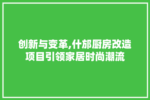 创新与变革,什邡厨房改造项目引领家居时尚潮流 装修材料
