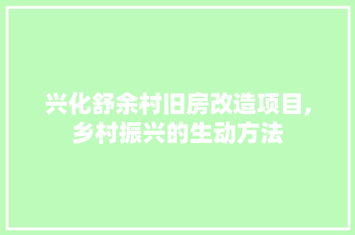 兴化舒余村旧房改造项目,乡村振兴的生动方法