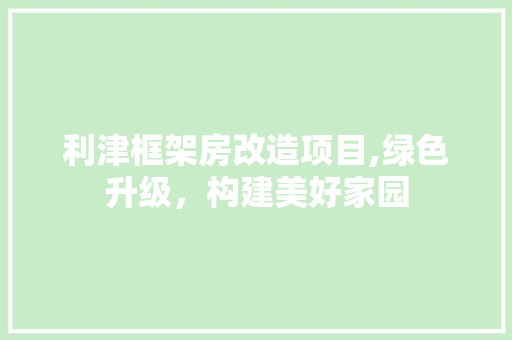 利津框架房改造项目,绿色升级，构建美好家园