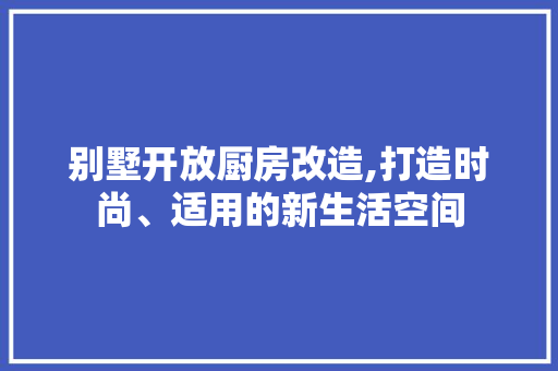 别墅开放厨房改造,打造时尚、适用的新生活空间