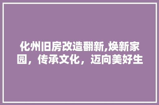 化州旧房改造翻新,焕新家园，传承文化，迈向美好生活 门窗装修