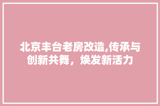 北京丰台老房改造,传承与创新共舞，焕发新活力