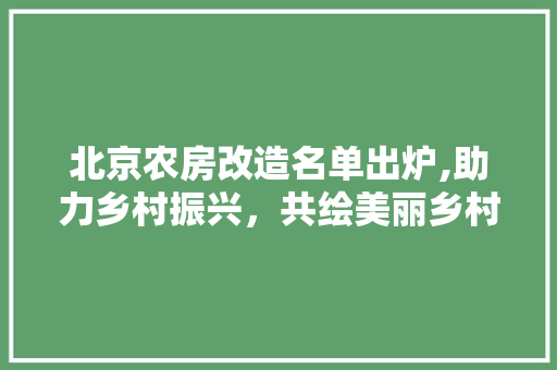 北京农房改造名单出炉,助力乡村振兴，共绘美丽乡村新画卷