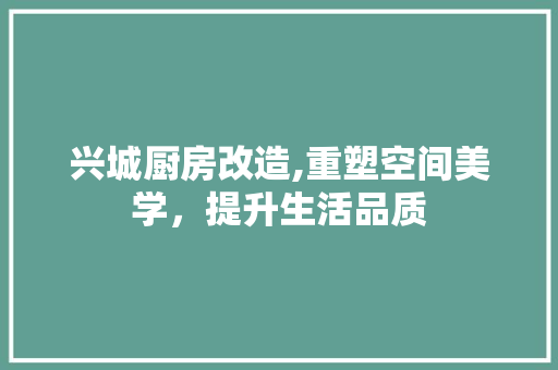 兴城厨房改造,重塑空间美学，提升生活品质