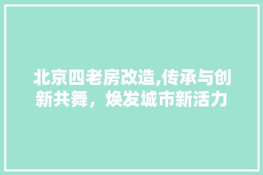 北京四老房改造,传承与创新共舞，焕发城市新活力 装修材料