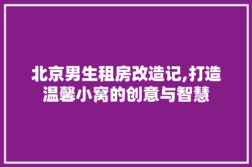 北京男生租房改造记,打造温馨小窝的创意与智慧