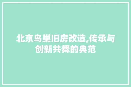 北京鸟巢旧房改造,传承与创新共舞的典范