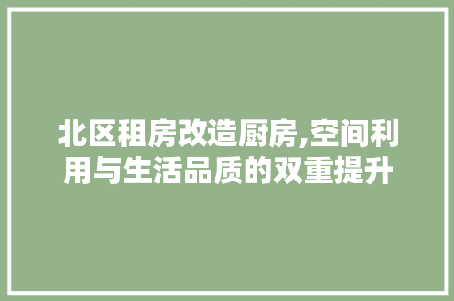 北区租房改造厨房,空间利用与生活品质的双重提升